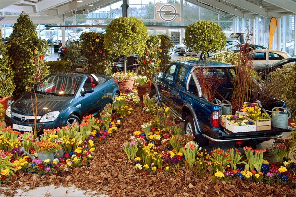 Spring at the car dealership